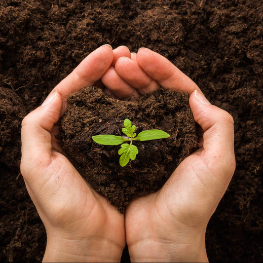 Organic vs. Non-Organic: Is It Worth the Cost? - Nutrition Squared