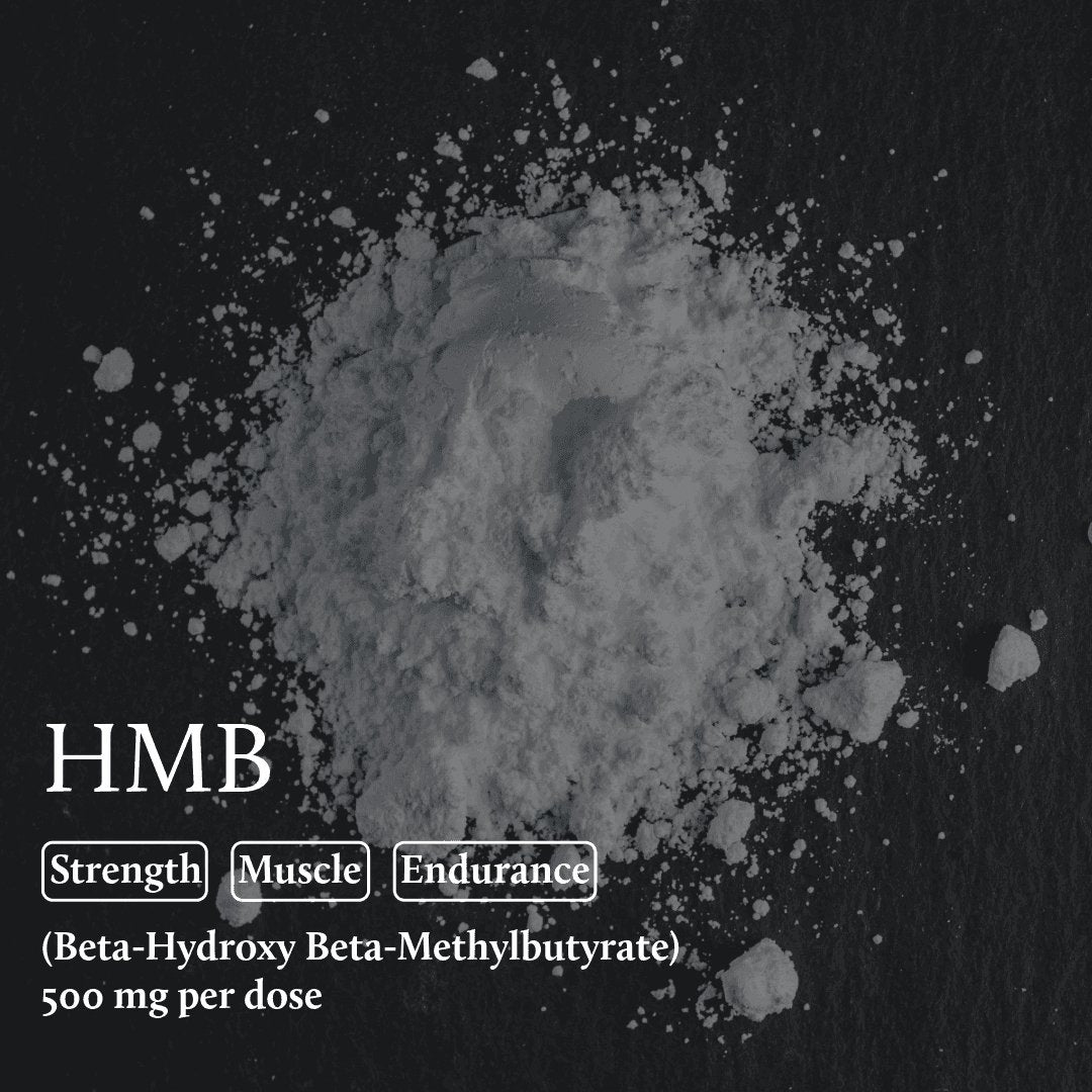 Creatine + HMB Upgrade Your Gains! – Nutrition Squared